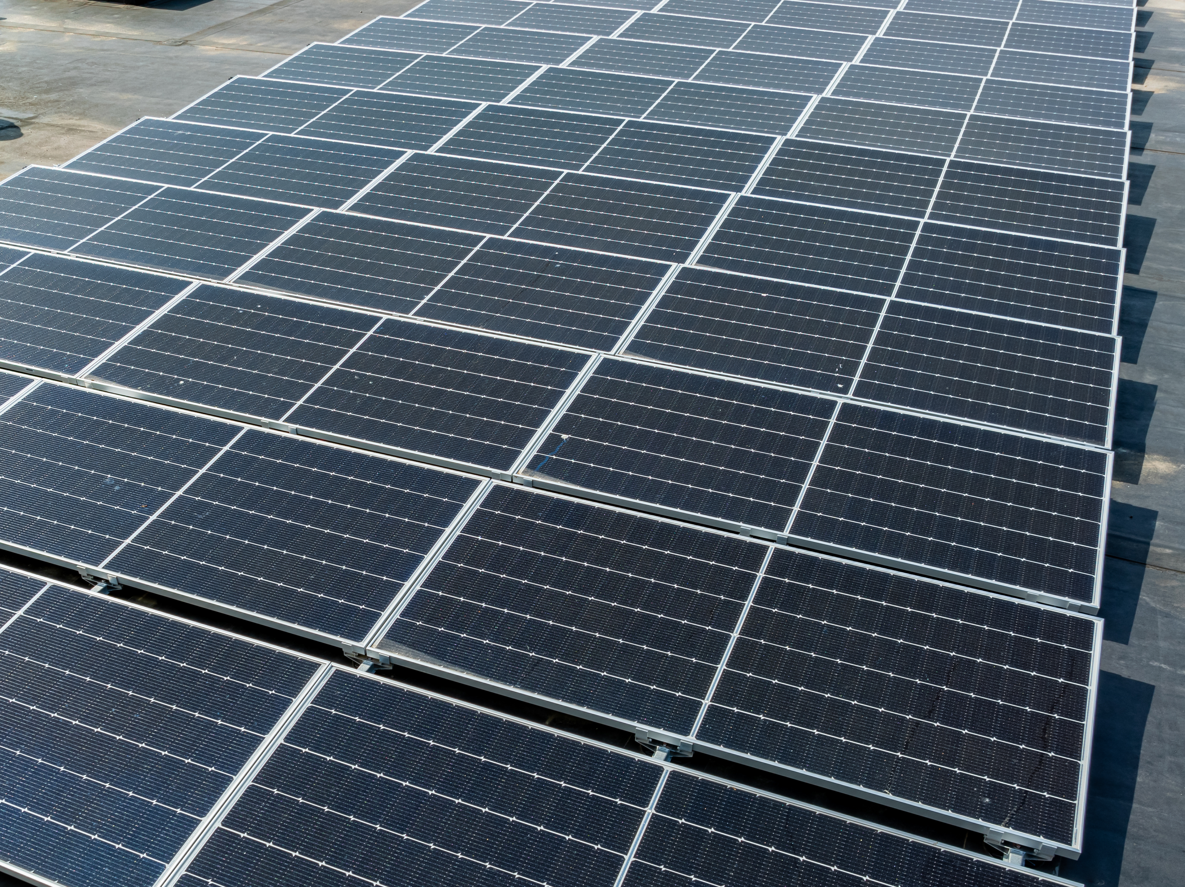 European policymakers in a formal meeting setting